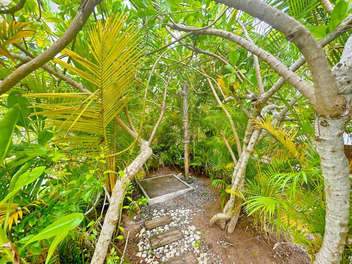 The Seaboards Apartments Seychelles Anse Royale Exteriör bild